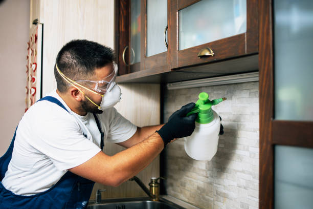 Best Affordable Pest Control Services  in Clear Lake Shores, TX