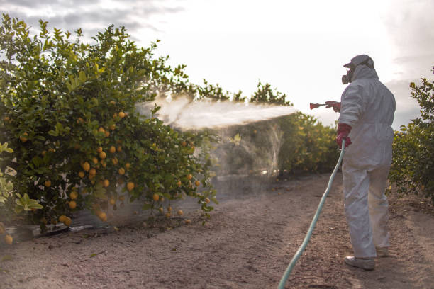 Trusted Clear Lake Shores, TX Pest Control Experts
