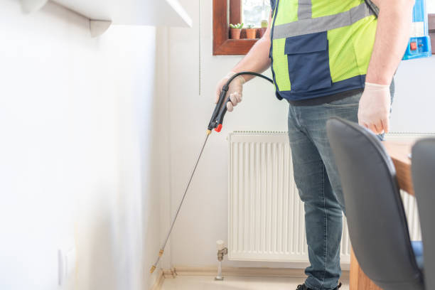 Best Local Pest Control Services  in Clear Lake Shores, TX