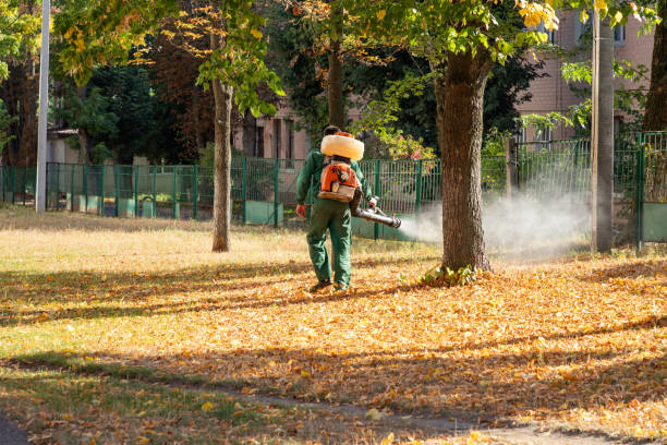 Trusted Clear Lake Shores, TX Pest Control Experts