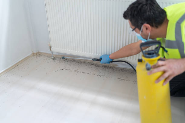 Best Affordable Pest Control Services  in Clear Lake Shores, TX